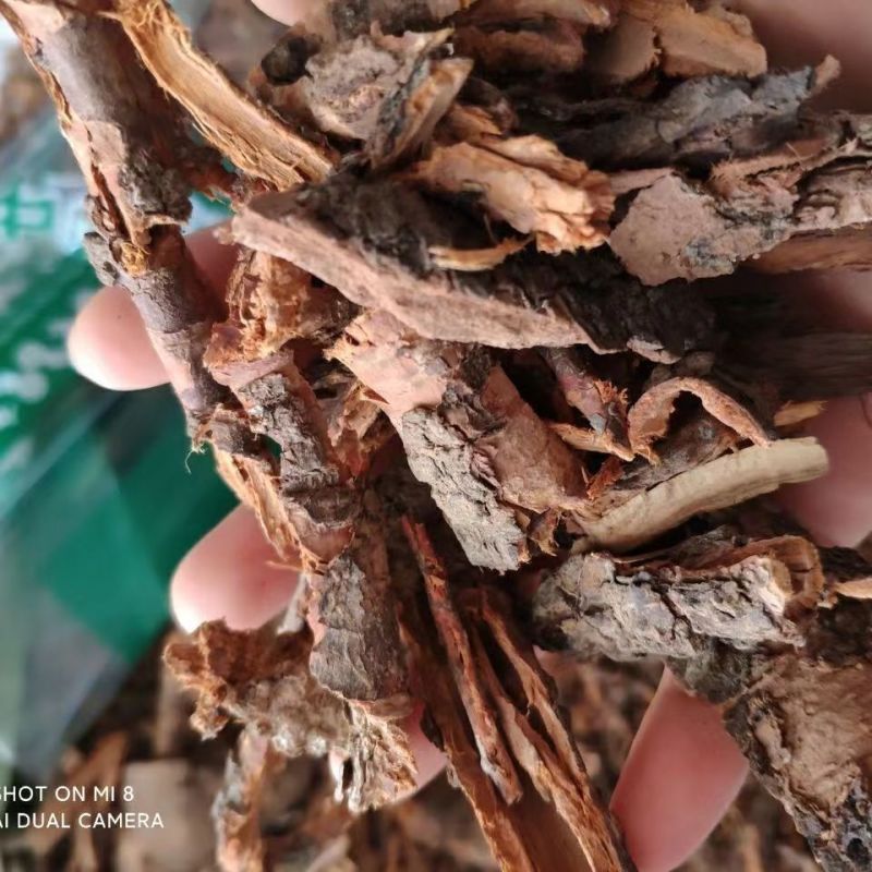 中药材桃树皮桃茎白皮桃白皮桃树干皮白桃皮正品