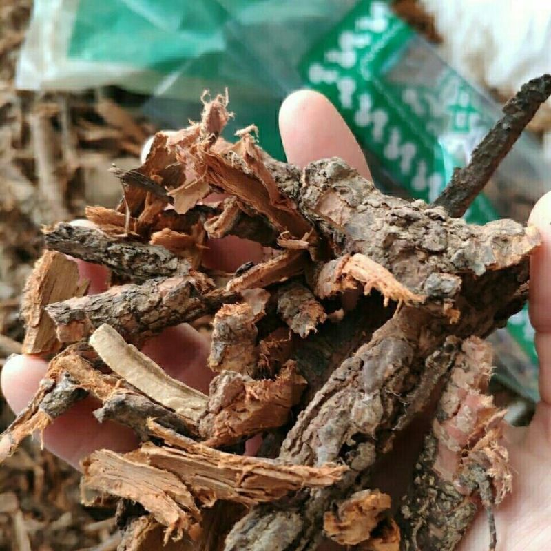 中药材桃树皮桃茎白皮桃白皮桃树干皮白桃皮正品