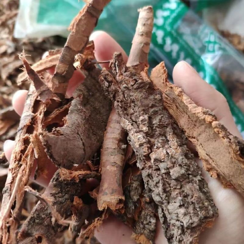 中药材桃树皮桃茎白皮桃白皮桃树干皮白桃皮正品