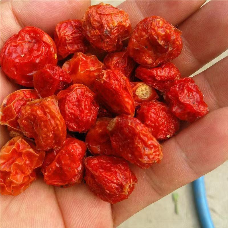 锦灯笼红菇娘干果无硫正品新货全干批发，产地直销
