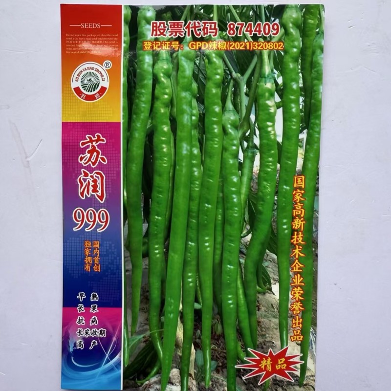苏润999辣椒种子早熟线椒种子特长果绿色条椒高产顺