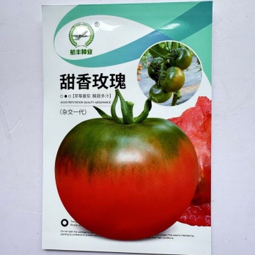 航丰甜香玫瑰番茄种子粉果西红柿酸甜多汁水果番茄种籽春秋种