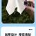 包邮【60包一年加量装】原木抽纸整箱批发家用可湿水卫生纸