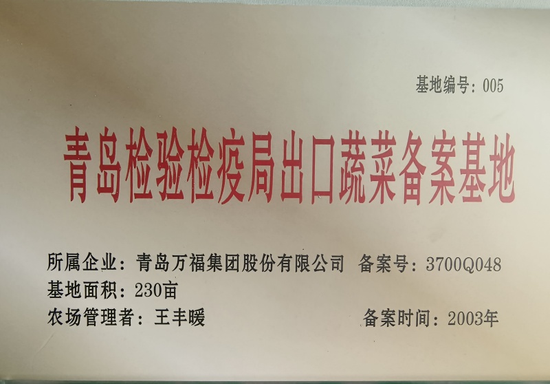 【推荐】前寨有机/富硒韭菜/视频看货/品质保证/欢迎咨询