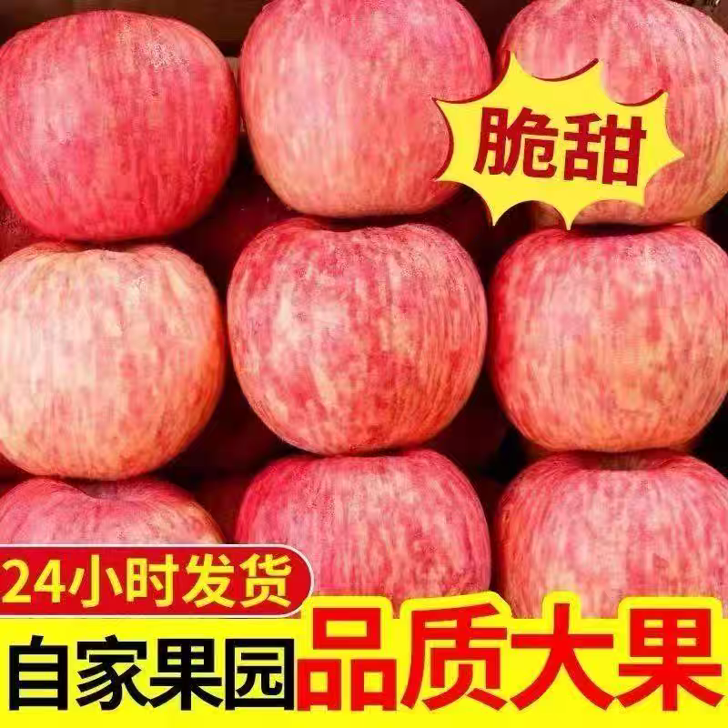 苹果-红富士苹果75mm以上临沂产地供应糖度高规格齐全