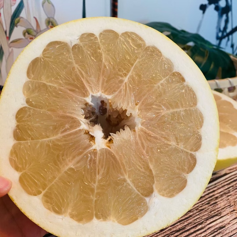 【推荐】湖北白心柚柚子代办供应市场商超电商量大从优