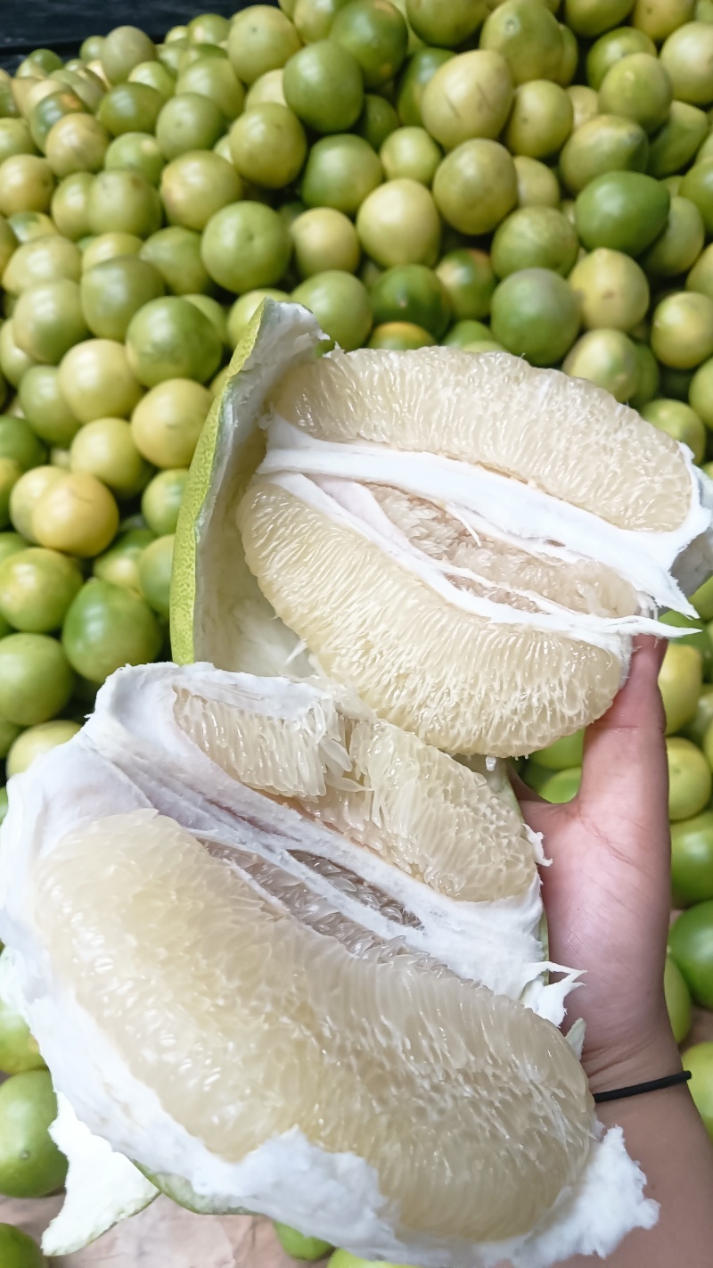 【推荐】湖北白心柚柚子代办供应市场商超电商量大从优