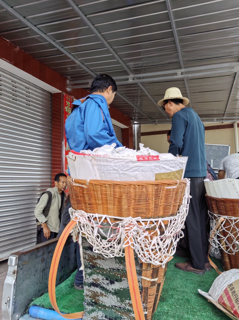 套袋金花梨