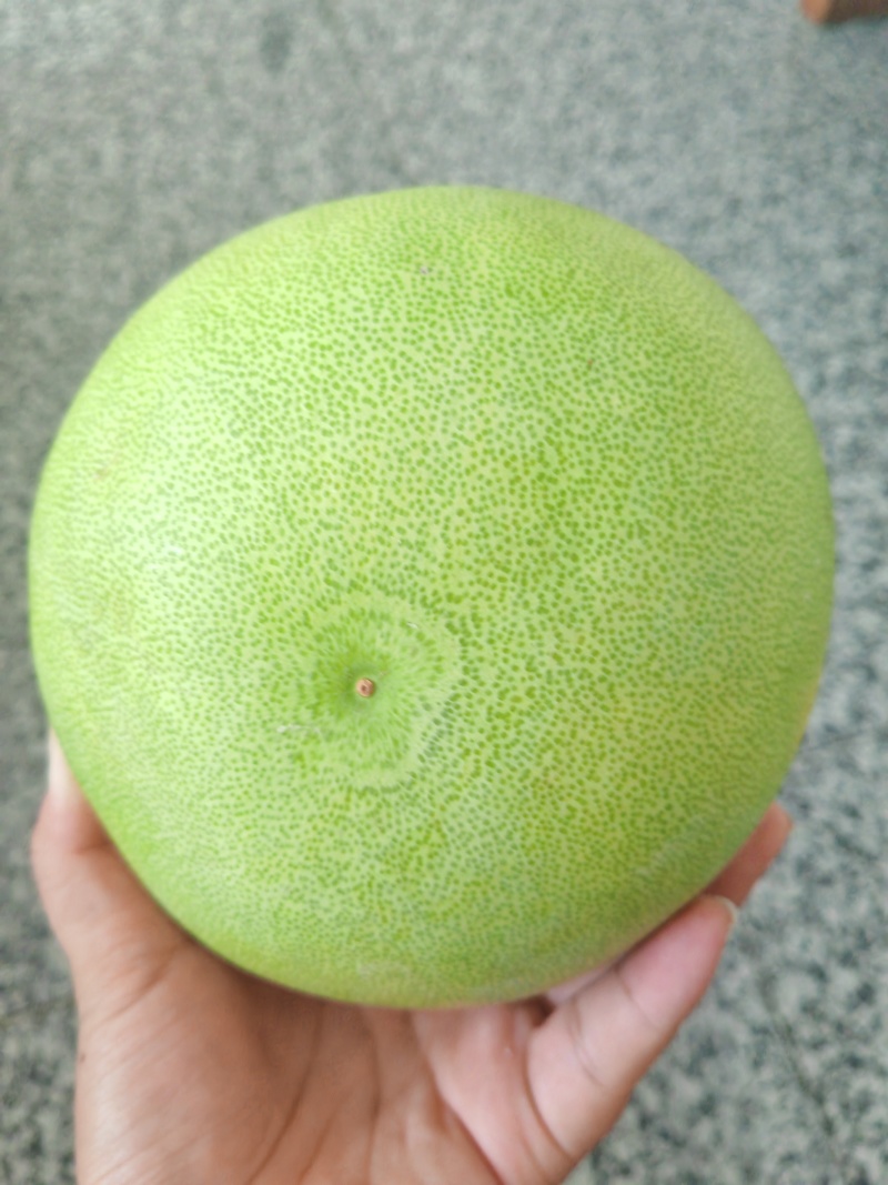 【推荐】湖北红心柚代办供应市场商超电商量大从优
