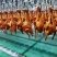【脆皮流汁乳鸽】250克整只爆汁脆皮乳鸽商用厂家直发精品