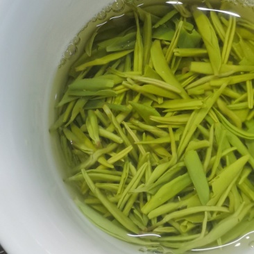 清仓特价抢购恩施富硒毛尖茶