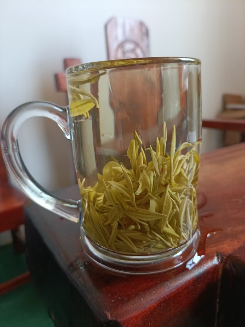 黄金芽