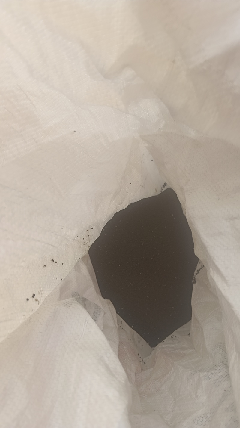 柴胡籽