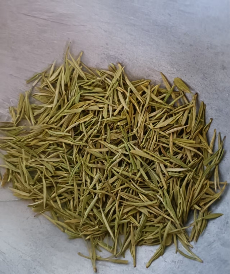 黄金芽