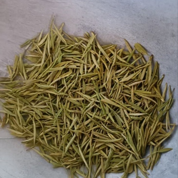 黄金芽