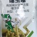 70%噻虫嗪棉花苗期蚜虫种子处理可分散粉剂噻虫嗪正品