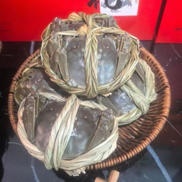 兴化大闸蟹，档口批发，社区团购，一件代发，阳澄湖**。