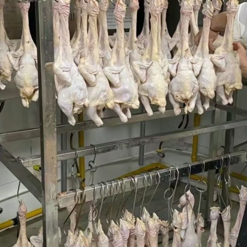 港式酒店特色脆皮鸡爆汁广式风味皮脆肉嫩厂家直销经典美味
