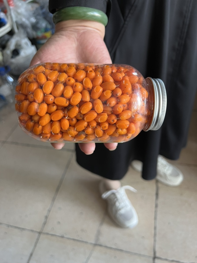 【精品】沙棘果产地直供质量保证，价格合理全国发货