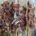 鱿鱼小串，价格优惠量大从优