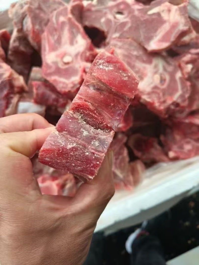 满肉羊蝎子，羊蝎子火锅