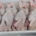 红毛老母鸡量大从优质量保证诚信经营欢迎咨询