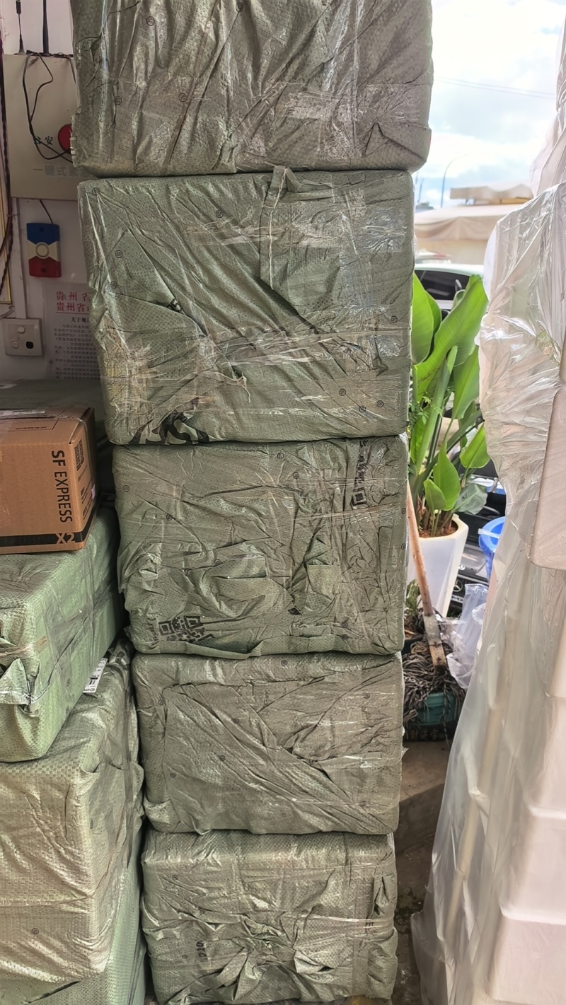 精品粉防己种苗贵州贞丰产地直发品质保证量大从优欢迎采购