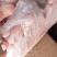 老鹅鹅肉量大从优质量保证诚信经营欢迎咨询