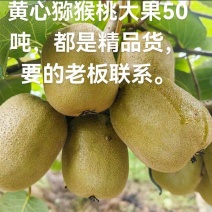 云南高山黄心猕猴桃