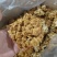选躲滑子菇，产地，福建古田食用菌批发市场，产地直销，