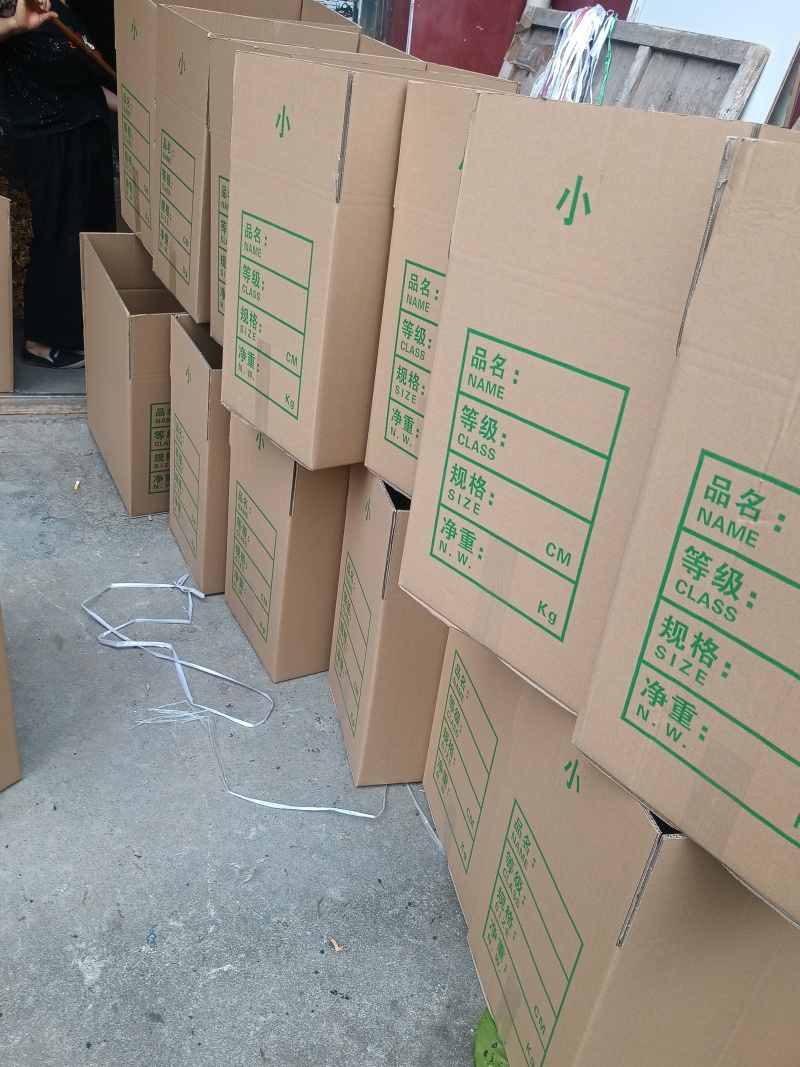 选躲滑子菇，产地，福建古田食用菌批发市场，产地直销，