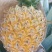 芒果凤梨
