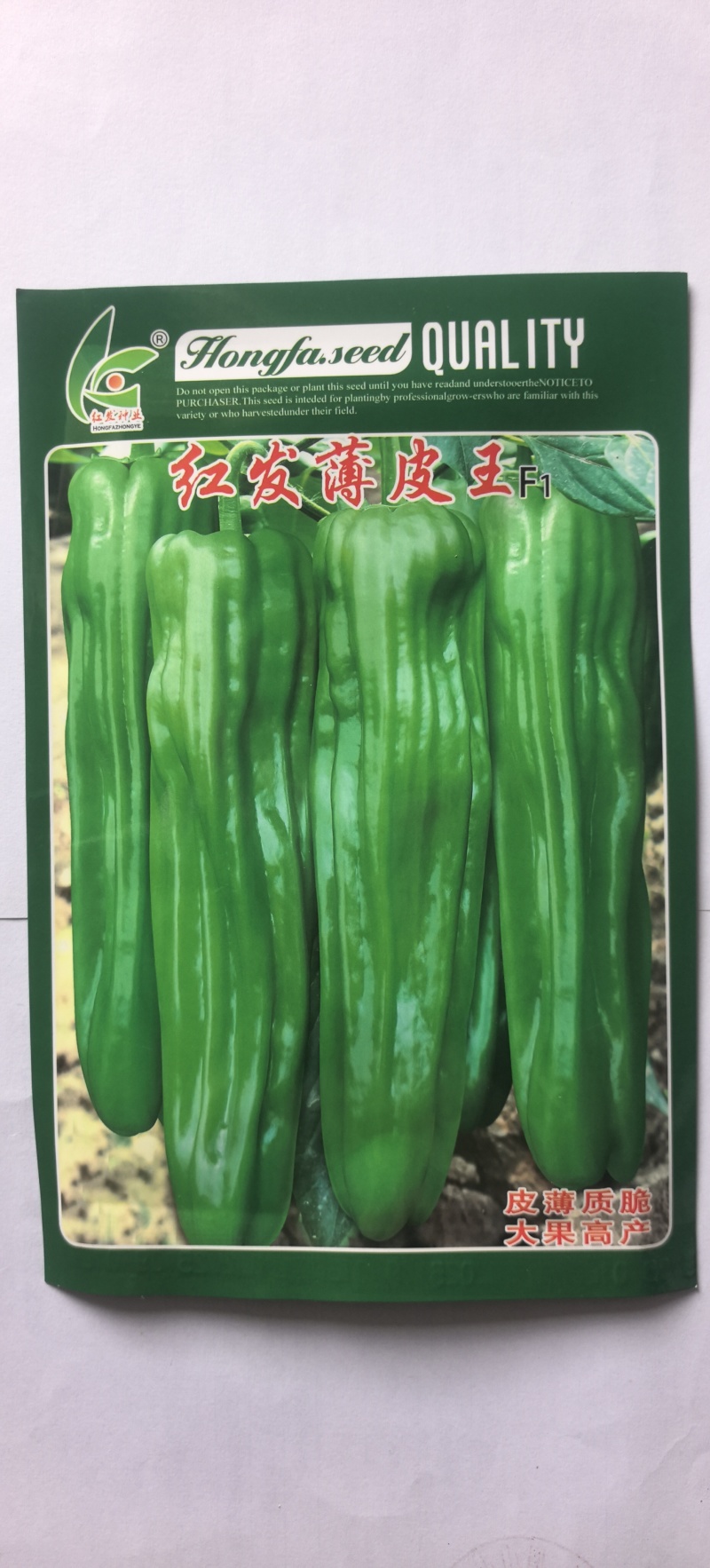 辣椒种子红发薄皮王薄皮大果早熟挂果量大抗病抗日灼