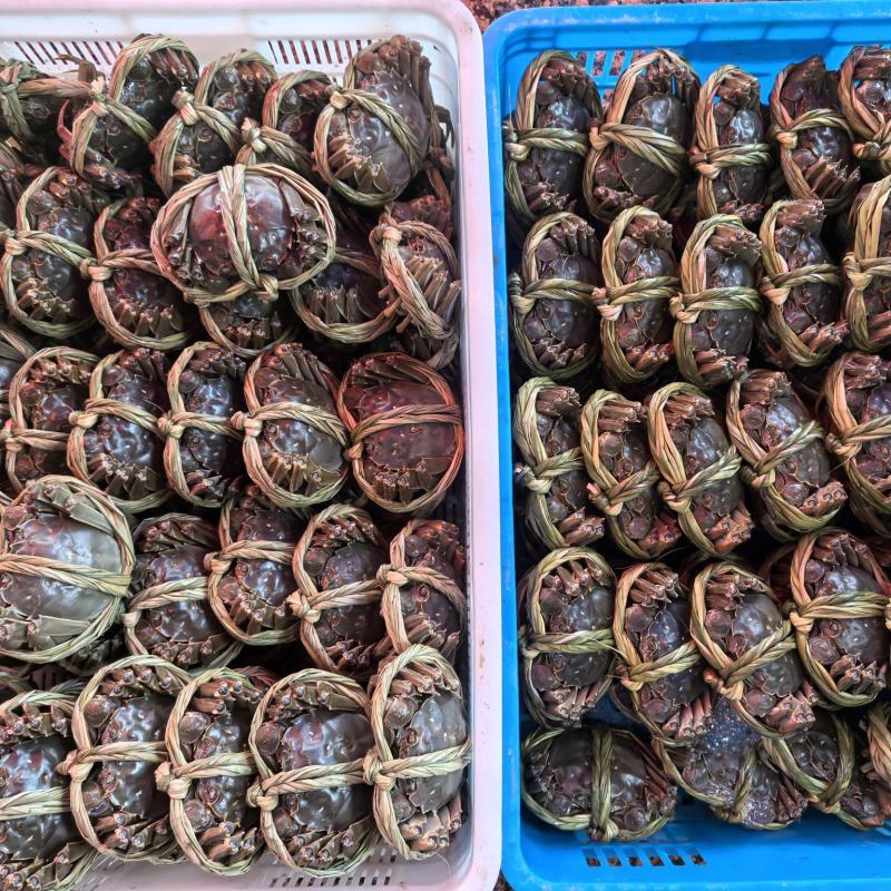 大闸蟹