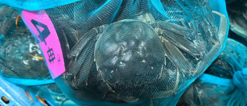 大闸蟹