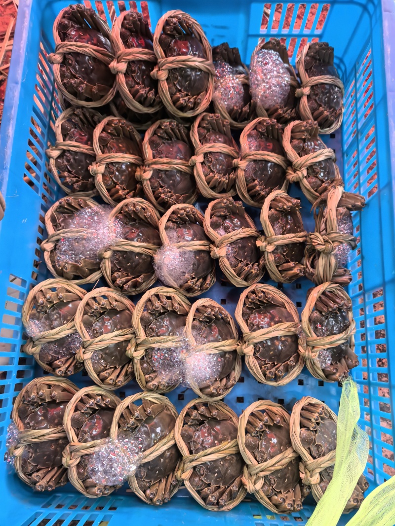 大闸蟹
