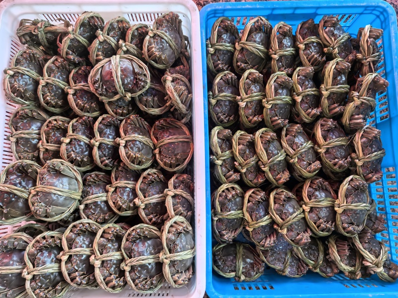 大闸蟹