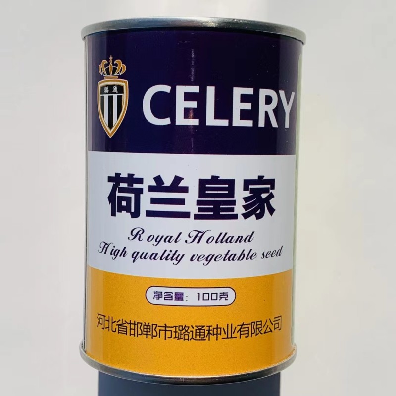璐通芹菜种子荷兰皇家西芹种子实心芹芹菜种籽耐热耐寒四季蔬