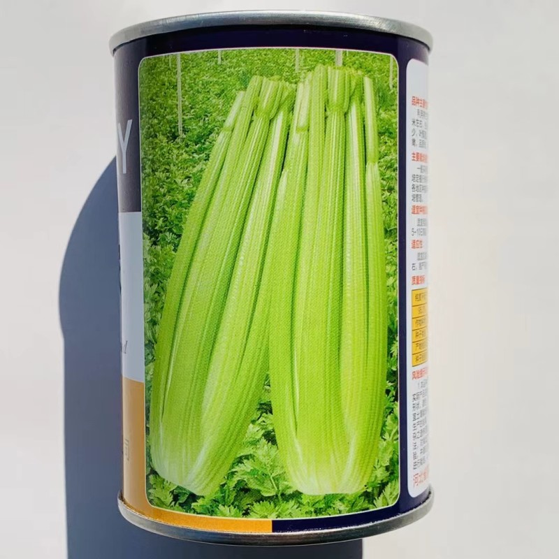 璐通芹菜种子荷兰皇家西芹种子实心芹芹菜种籽耐热耐寒四季蔬