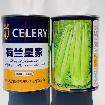 璐通芹菜种子荷兰皇家西芹种子实心芹芹菜种籽耐热耐寒四季蔬