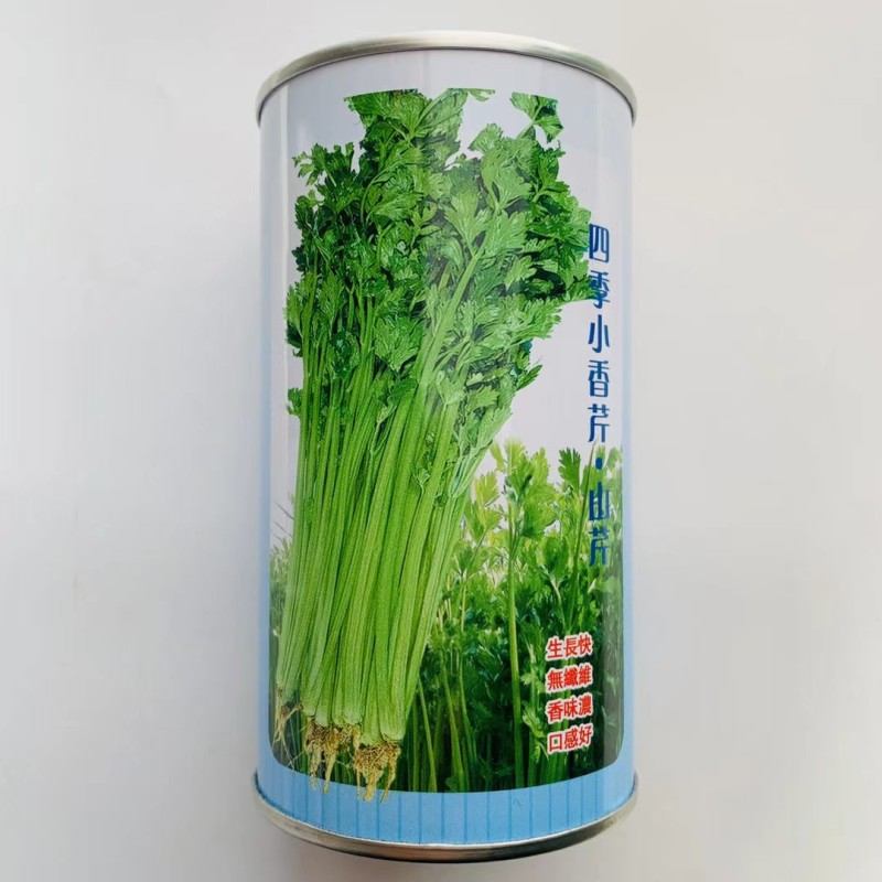四季小香芹山芹种子高产黄绿色小香芹种子清香无苦味小芹菜种