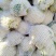 松花菜散花现挖现发品质保证货源充足支持全国发货价格美丽