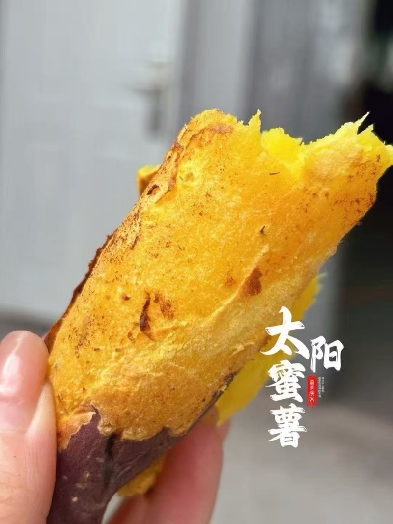 云南高原黄金榴莲蜜薯