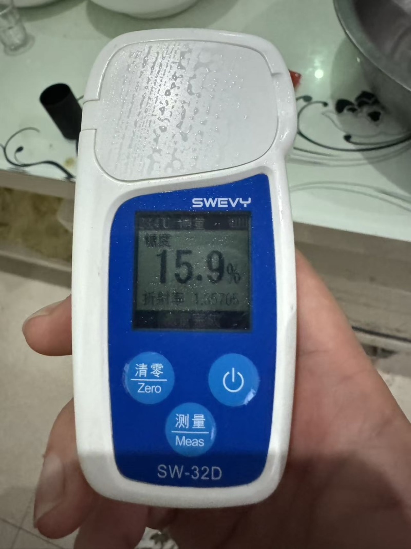 山农酥梨脆甜无渣皮薄肉厚