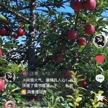 瓦利。天王，红心，，2.2左右