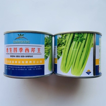 速生四季西芹王种子批发耐高温小芹菜香芹春秋四季播种高产味