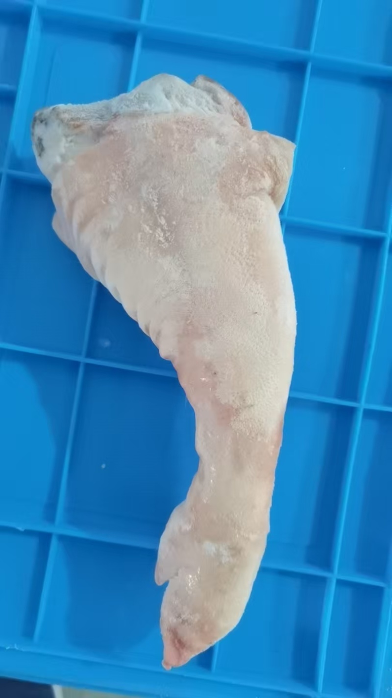 猪脚现货