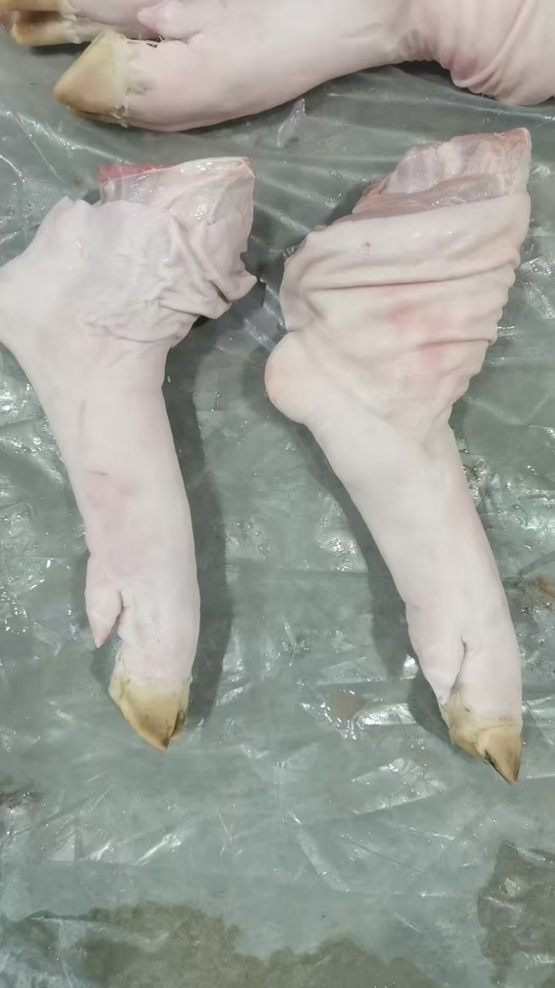 猪脚现货