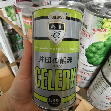 优质芹菜新品种井田靓绿芹菜种子抗病耐低温一代交配西芹种子
