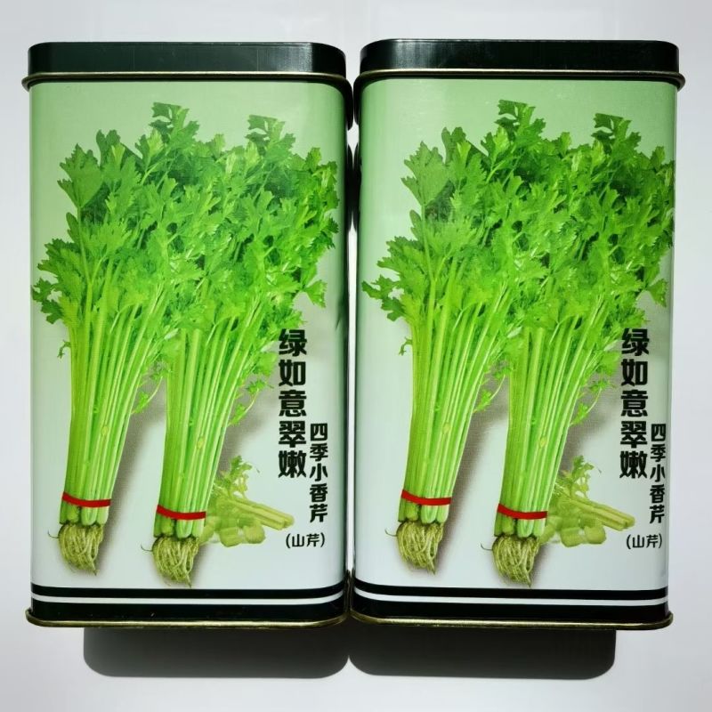 优质芹菜种子推荐绿如意翠嫩四季小香芹种子四季芹菜山芹种子